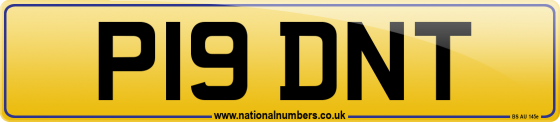 P19 DNT