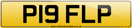 P19 FLP