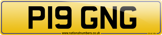 P19 GNG