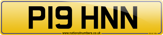 P19 HNN