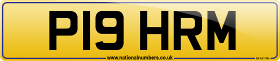 P19 HRM