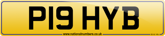 P19 HYB