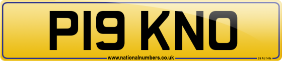 P19 KNO