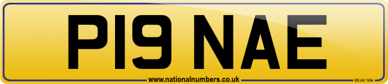 P19 NAE