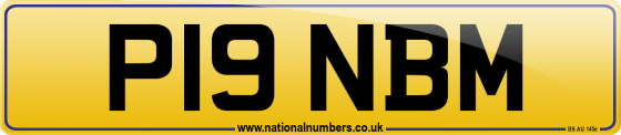 P19 NBM