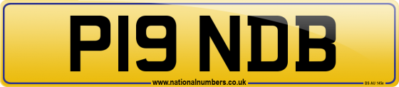 P19 NDB