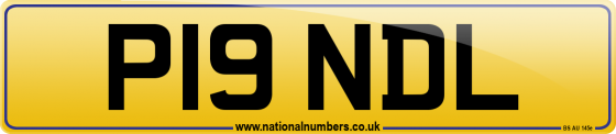 P19 NDL