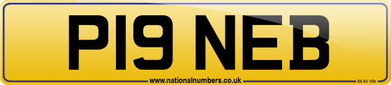 P19 NEB