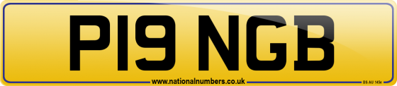 P19 NGB