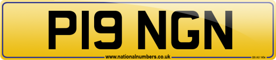 P19 NGN