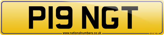 P19 NGT