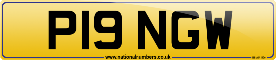 P19 NGW