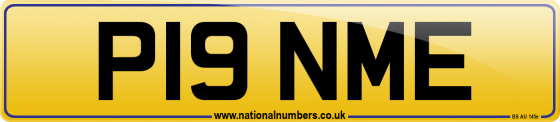 P19 NME