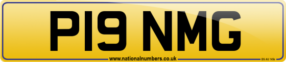 P19 NMG