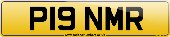 P19 NMR