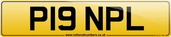 P19 NPL
