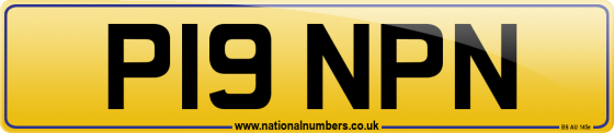 P19 NPN