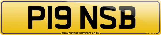P19 NSB