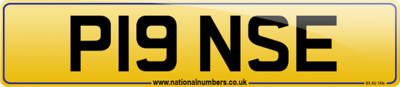 P19 NSE