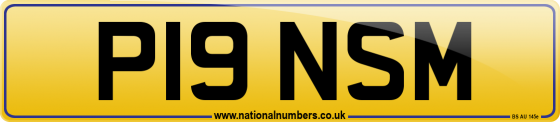 P19 NSM