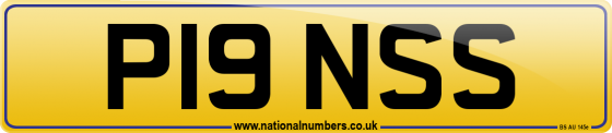 P19 NSS