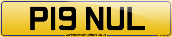 P19 NUL