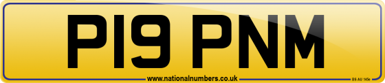 P19 PNM