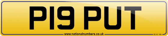P19 PUT