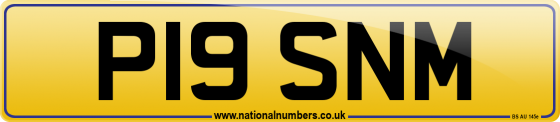 P19 SNM