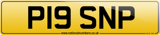 P19 SNP