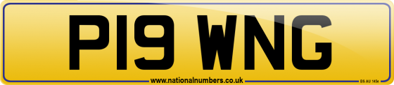 P19 WNG