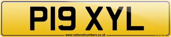 P19 XYL