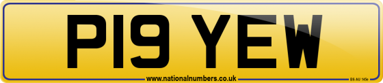 P19 YEW