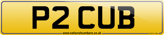 P2 CUB