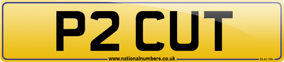 P2 CUT