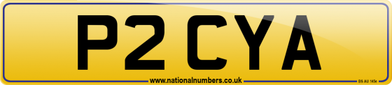 P2 CYA