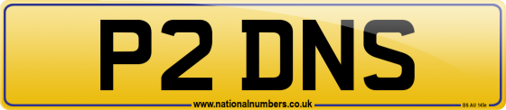 P2 DNS
