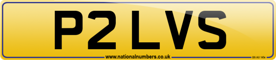 P2 LVS