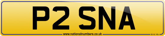 P2 SNA
