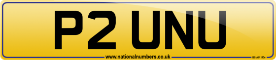 P2 UNU