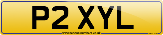 P2 XYL
