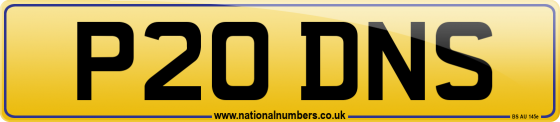 P20 DNS