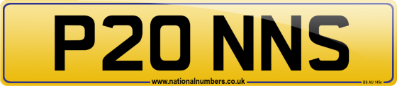 P20 NNS