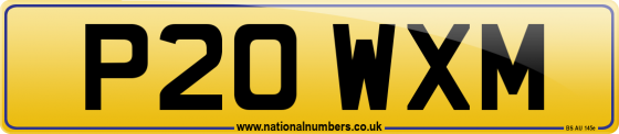 P20 WXM
