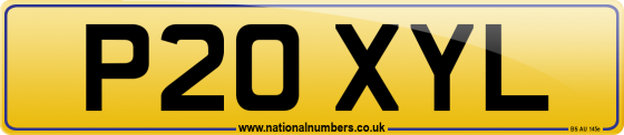 P20 XYL