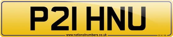 P21 HNU