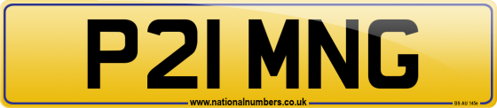 P21 MNG