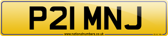 P21 MNJ