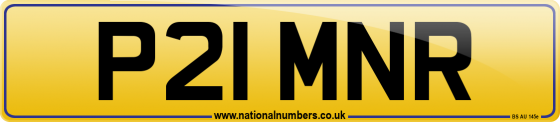 P21 MNR