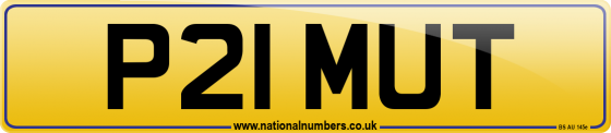 P21 MUT